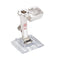 # 46C Biesen-Deko-Stichfuss  0333087100